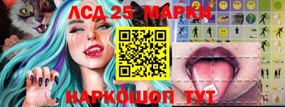 индика Пенза