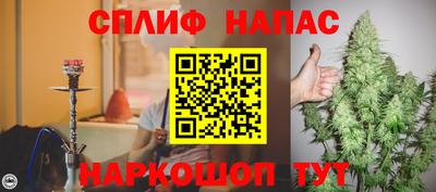 индика Пенза