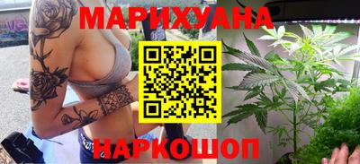 индика Пенза