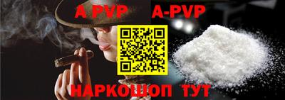 индика Пенза