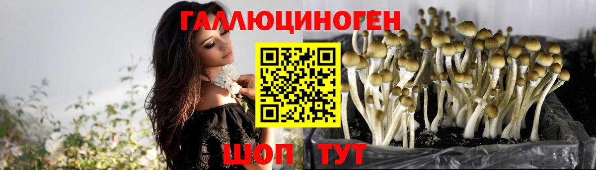 даркнет сайт  Галлюциногенные грибы мухоморы  Вход с VPN  Нарткала 